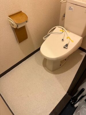 IMG_8123.jpeg